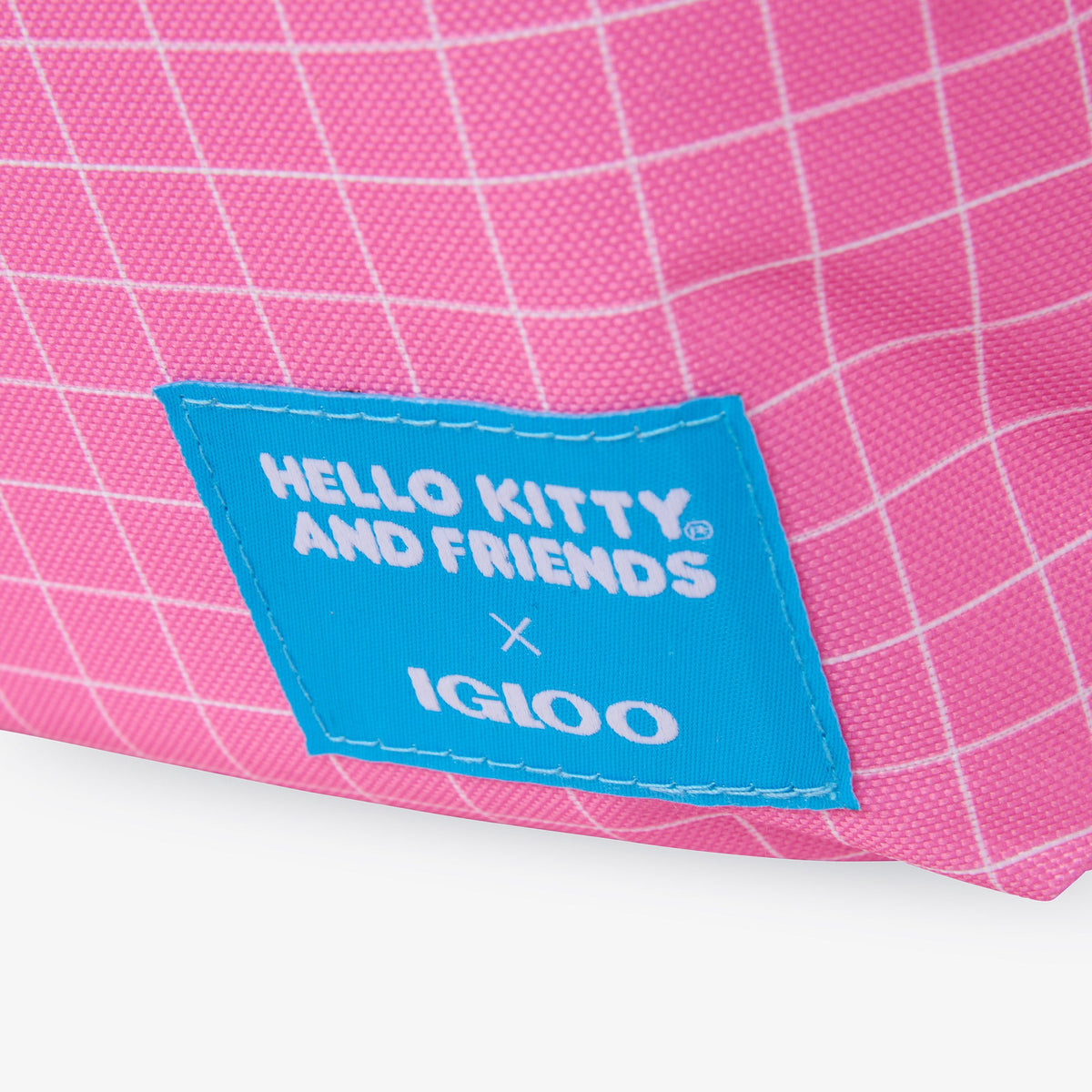 hello-kitty-and-friends-bff-mini-convertible-backpack-cooler-e5 00027591-L.jpg