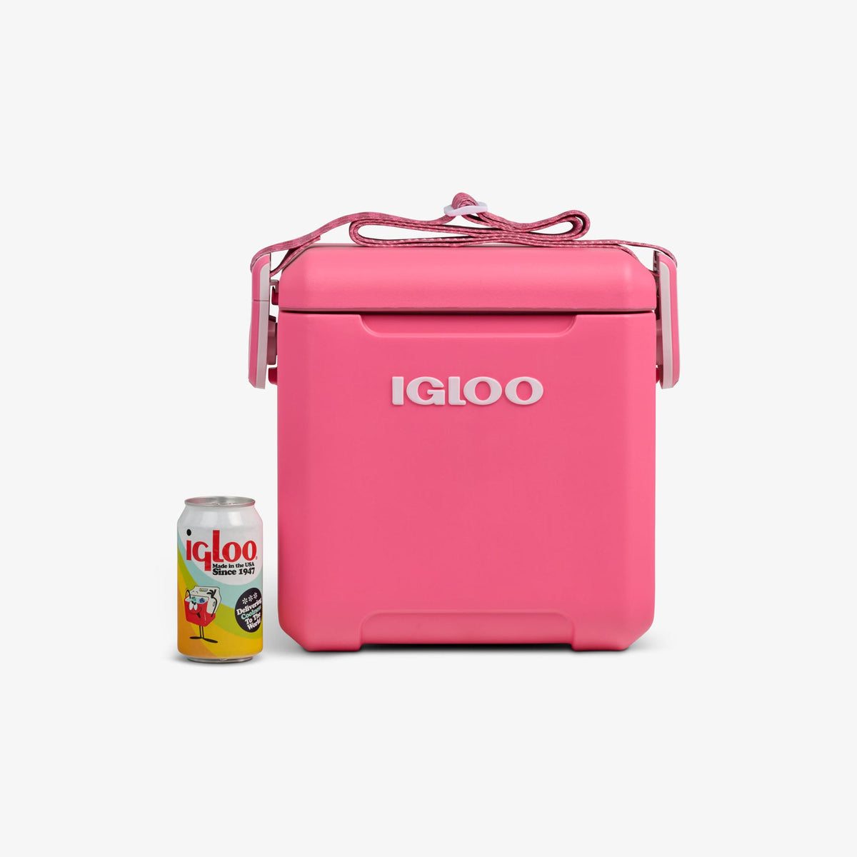 tag-along-too-remix-cooler-d0 00033199-P_861a5cd2-f15c-4217-a471-e33cc3890d9e.jpg
