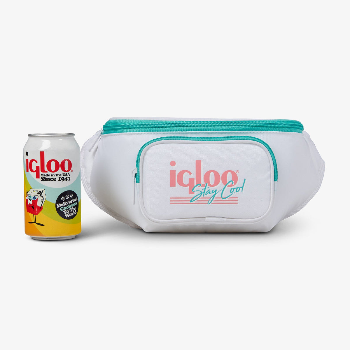 retro-fanny-pack-i6 00060951_5.jpg