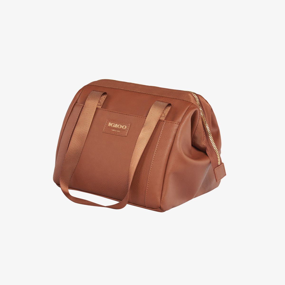 igloo-luxe-lunch-tote-cooler-bag-k9 00061160_2.jpg