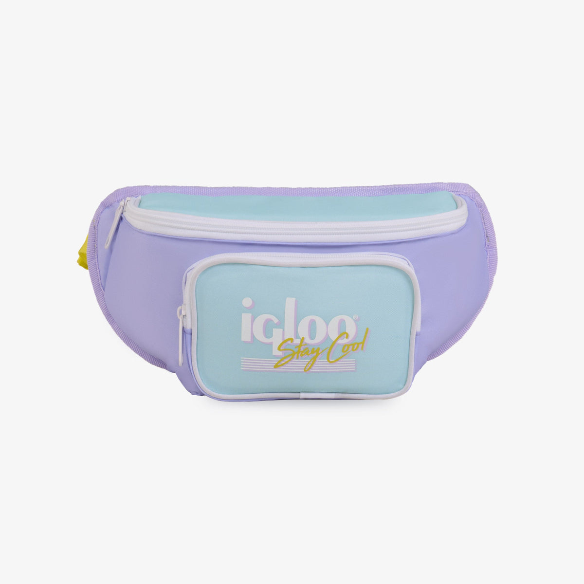 retro-fanny-pack-i6 00063078-F.jpg