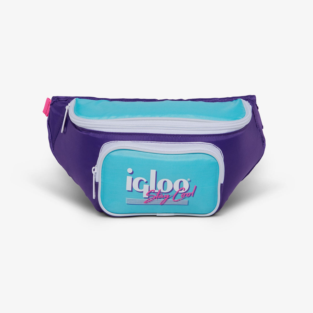 retro-fanny-pack-i6 00066056-F.jpg