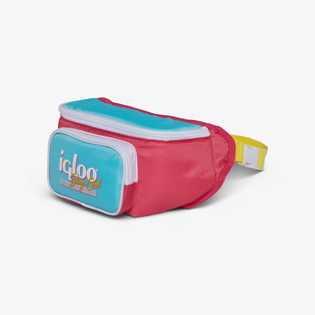 retro-fanny-pack-i6 00066058-H1.jpg
