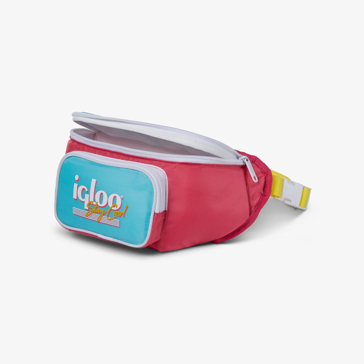 retro-fanny-pack-i6 00066058-O1.jpg