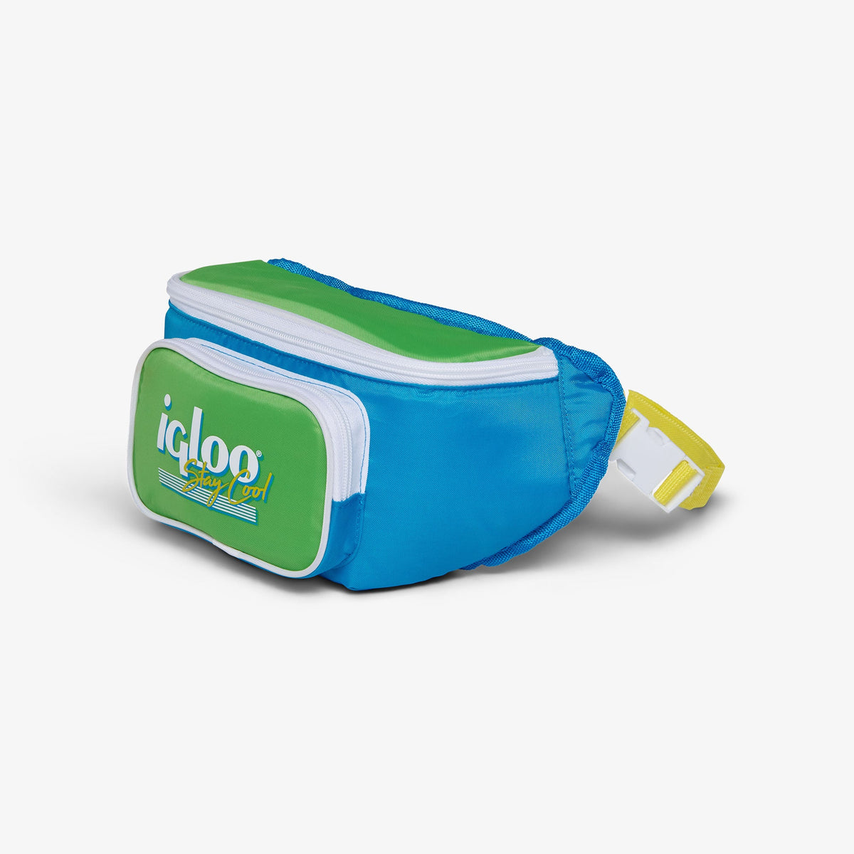 retro-fanny-pack-i6 00066059-H1.jpg