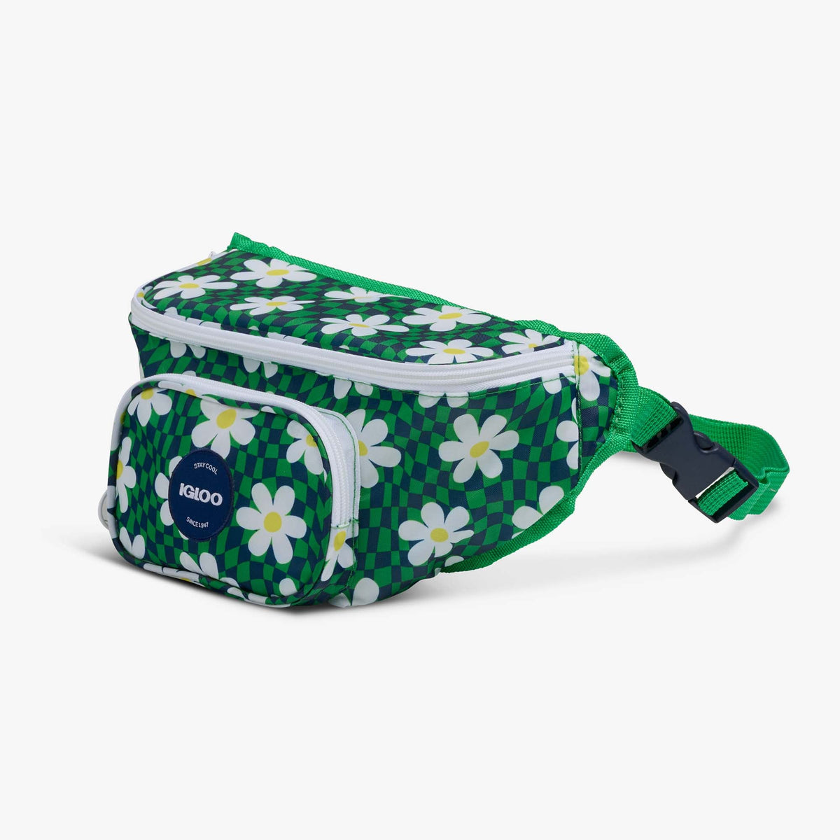 retro-fanny-pack-i6 00067206-H1.jpg