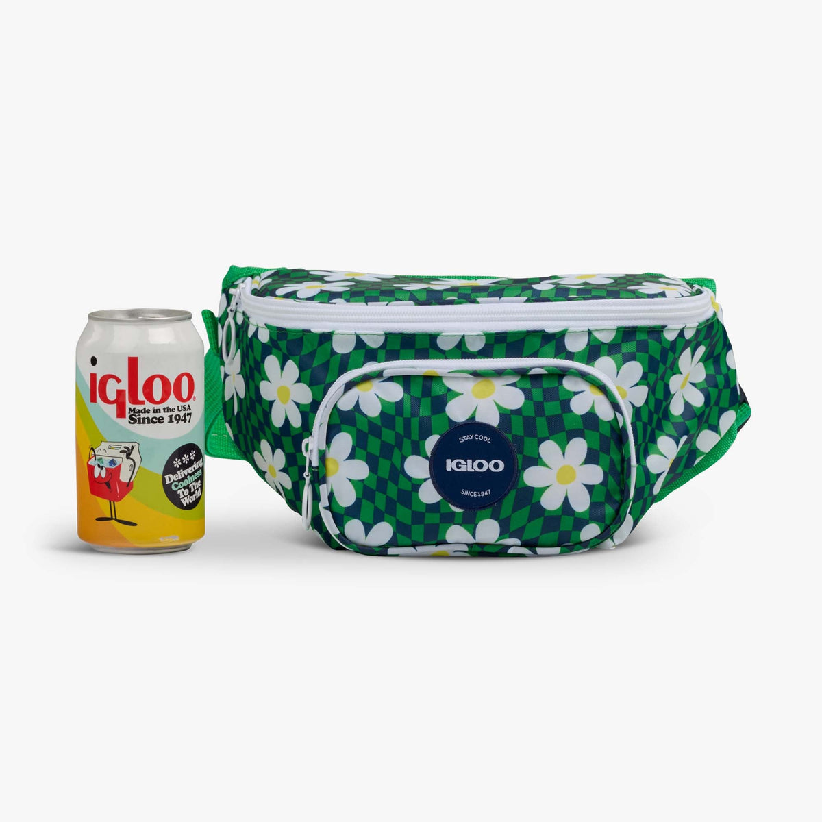 retro-fanny-pack-i6 00067206-P.jpg