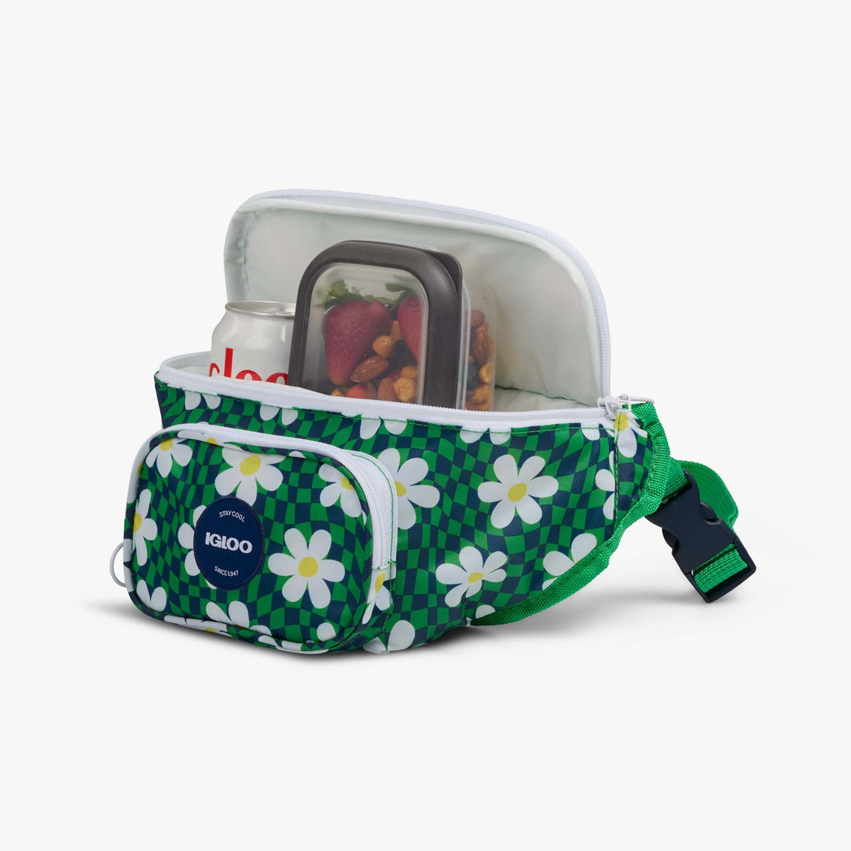 retro-fanny-pack-i6 00067206-P1.jpg